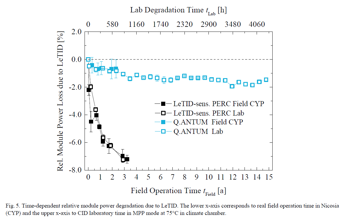 Qcells Q.ANTUM LeTID PERC solar cell supression